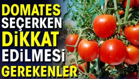 Hurdacı Seçerken Dikkat Edilmesi Gerekenler