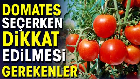 Hurdacı Seçerken Dikkat Edilmesi Gerekenler